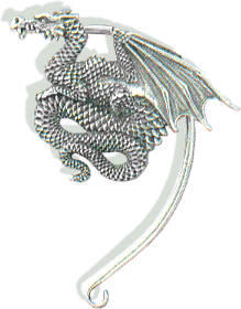 Detailed Dragon Pictures